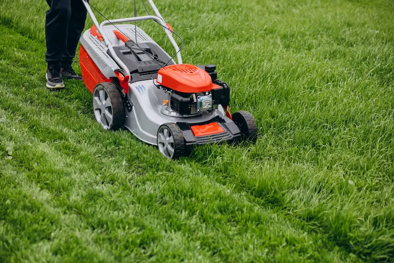 Freshly Mowed Lawn Charleston