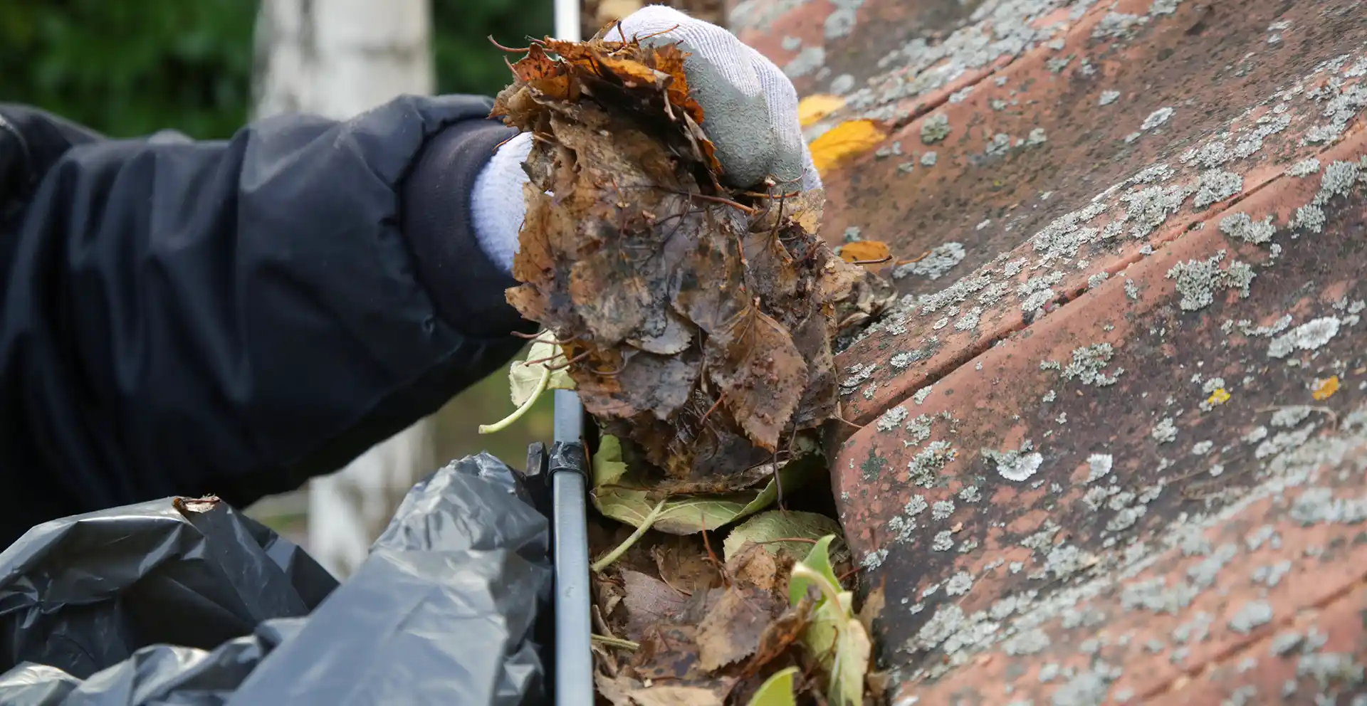 Charleston Gutter Cleaning