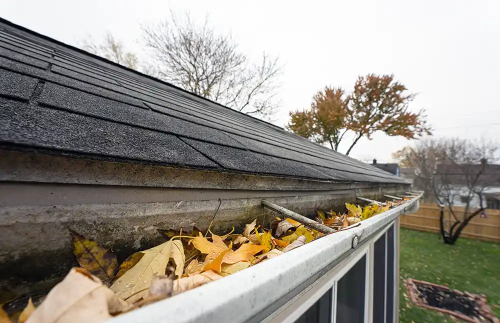 Over 20 Years Of Experience Gutter Cleaning